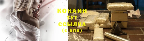 jwh Богородицк