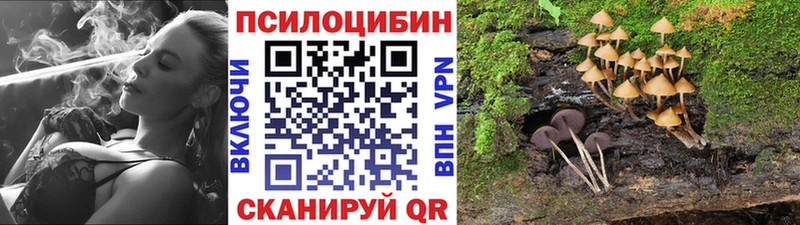 Псилоцибиновые грибы мицелий  дарк нет какой сайт  Моздок 
